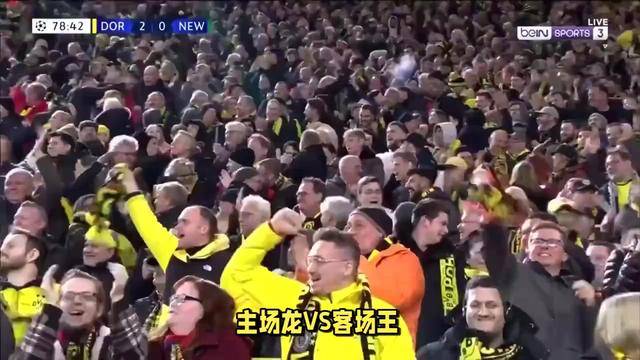 火爆开赛令球迷沸腾，登峰造极壮丽巅峰