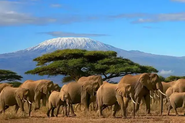 英国威廉希尔-肯尼亚2-3不敌坦桑尼亚，欧锦赛晋级希望渺茫