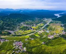 安纳多硬斗,美瑞喜霞实昏知冠 安纳多硬斗,美瑞喜霞实昏知冠